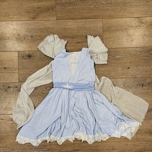 Placard Original Frozen Elsa Dress